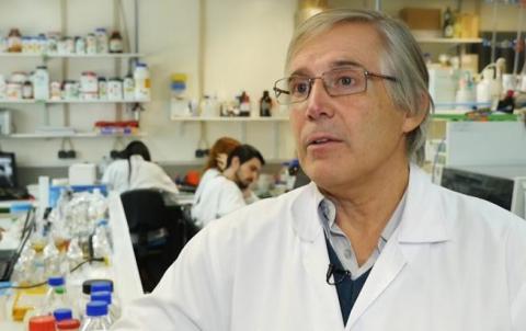 Curso Internacional de Reatores Biológicos (17 a 21 de dezembro de 2018) a ser ministrado pelo Prof. Dr. José Antônio Couto Teixeira da Universidade do Minho - Portugal /International Course on Biological Reactors (17-21 December 2018) by Prof. Dr. José A Curso Internacional de Reatores Biológicos (17 a 21 de dezembro de 2018) a ser ministrado pelo Prof. Dr. José Antônio Couto Teixeira da Universidade do Minho - Portugal /International Course on Biological Reactors (17-21 December 2018) by Prof. Dr. José A