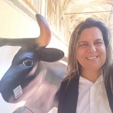 Profile picture for user Elizabeth Sampaio de Medeiros