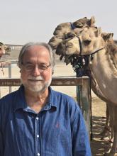 Missão Internacional