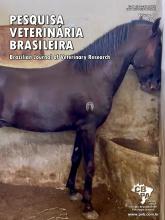 Tragédia sanitária envolvendo equinos no Brasil
